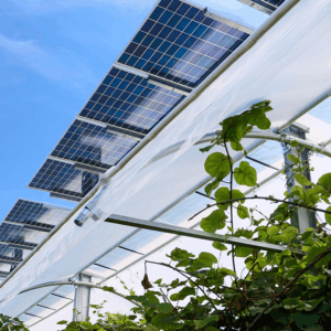 impianto agrivoltaico