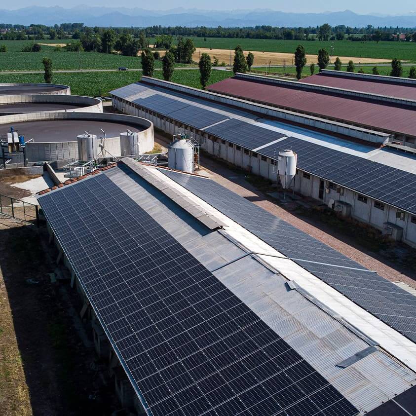 fotovoltaico azienda agricola